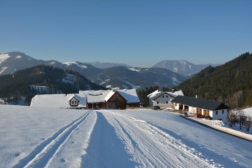 Klein Schoental Göstling an der Ybbs Exterior foto
